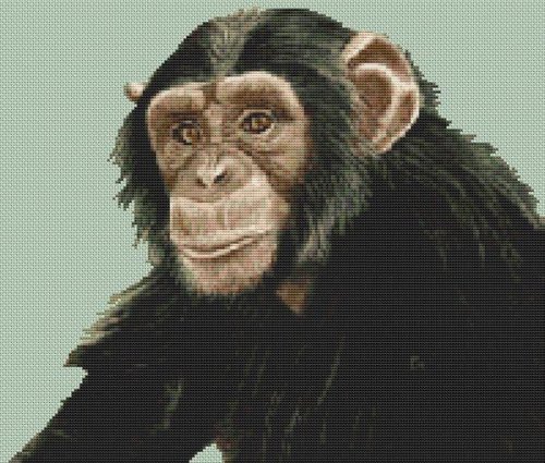 (image for) Almost Human